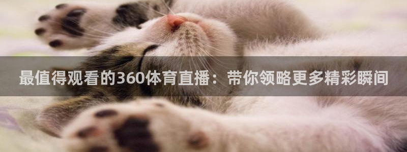 最值得观看的360体育直播：带你领略更多精彩瞬间