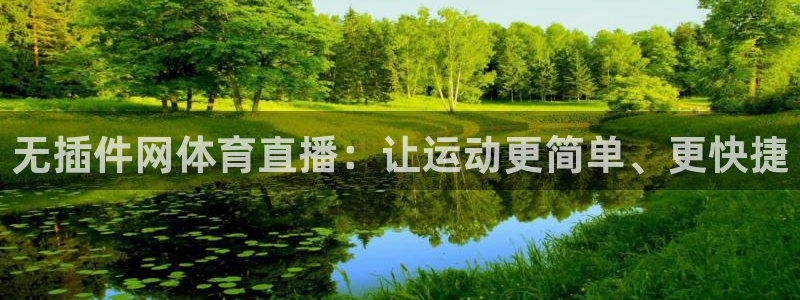无插件网体育直播：让运动更简单、更快捷