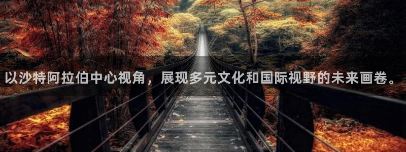 以沙特阿拉伯中心视角，展现多元文化和国际视野的未来画卷。