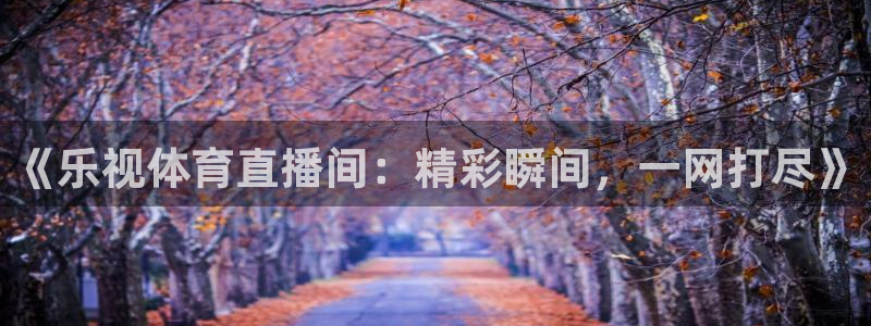 《乐视体育直播间：精彩瞬间，一网打尽》