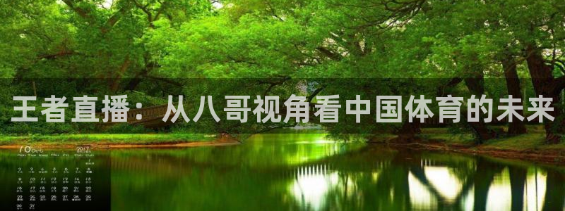 王者直播：从八哥视角看中国体育的未来