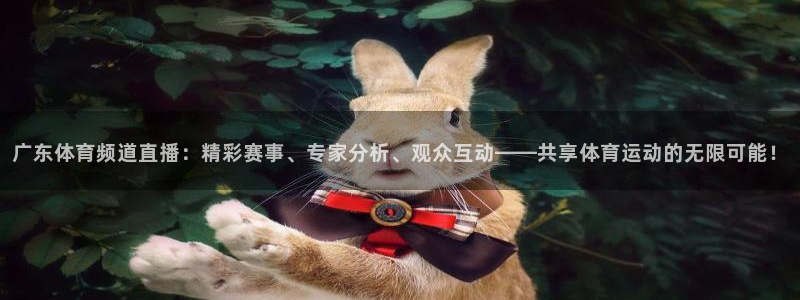 广东体育频道直播：精彩赛事、专家分析、观众互动——共享体育运动的无限可能！