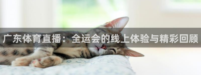 广东体育直播：全运会的线上体验与精彩回顾