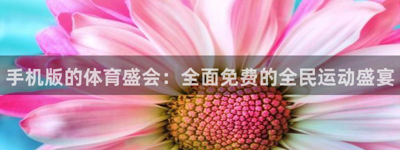 手机版的体育盛会：全面免费的全民运动盛宴