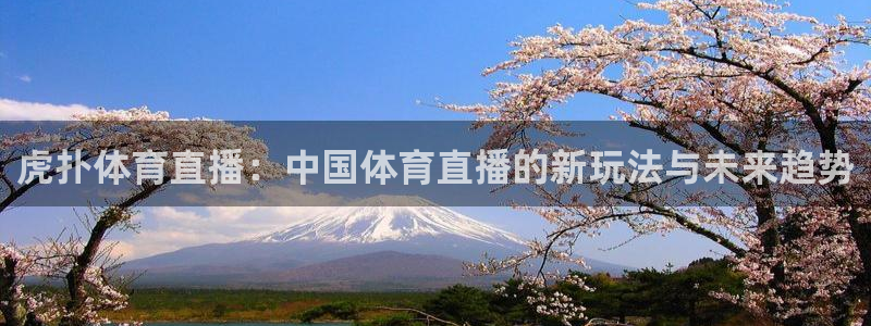 虎扑体育直播：中国体育直播的新玩法与未来趋势