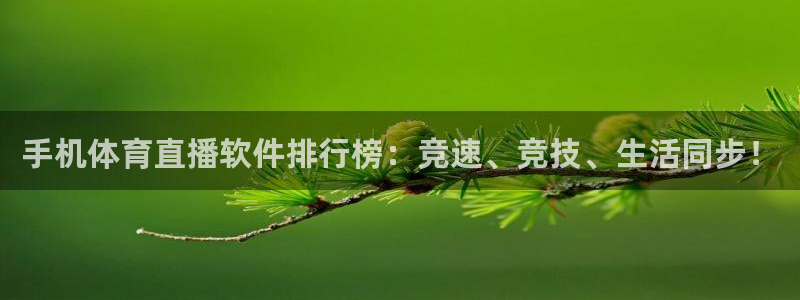 手机体育直播软件排行榜：竞速、竞技、生活同步！
