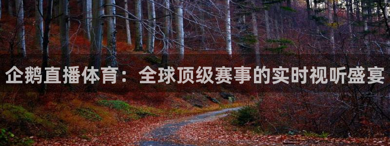 企鹅直播体育：全球顶级赛事的实时视听盛宴