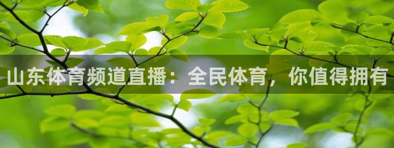 山东体育频道直播：全民体育，你值得拥有