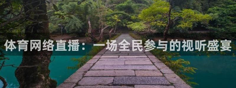 体育网络直播：一场全民参与的视听盛宴