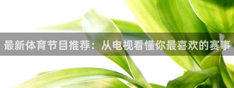 最新体育节目推荐：从电视看懂你最喜欢的赛事