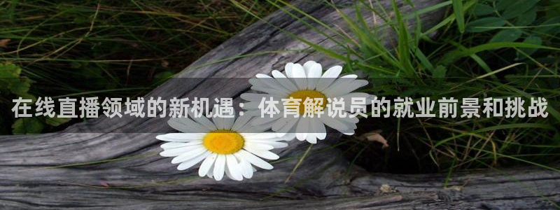 在线直播领域的新机遇：体育解说员的就业前景和挑战