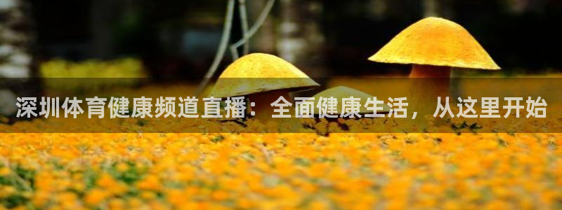 深圳体育健康频道直播：全面健康生活，从这里开始