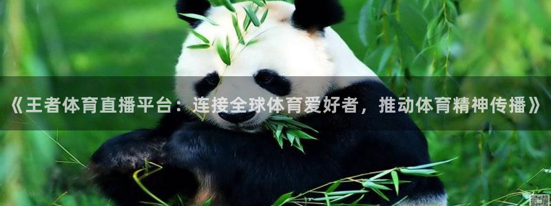 《王者体育直播平台：连接全球体育爱好者，推动体育精神传播》