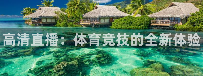 高清直播：体育竞技的全新体验