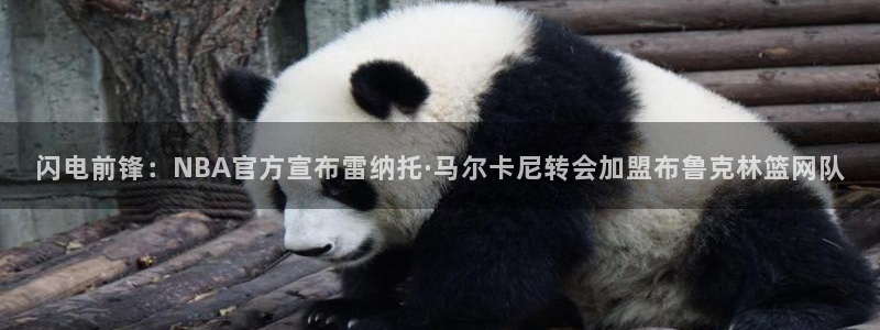 闪电前锋：NBA官方宣布雷纳托·马尔卡尼转会加盟布鲁克林篮网队
