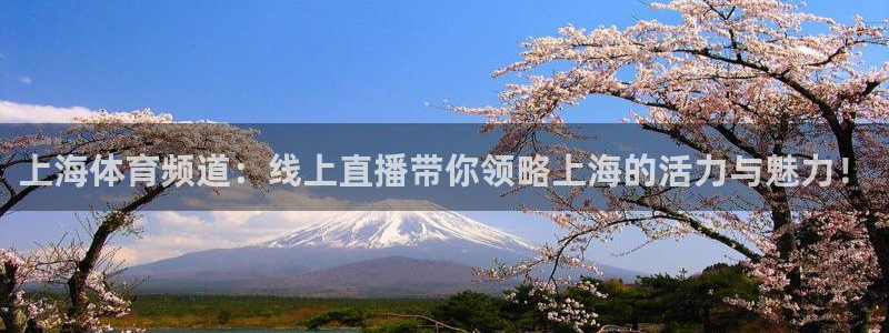 上海体育频道：线上直播带你领略上海的活力与魅力！