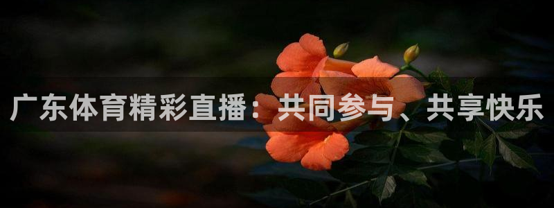 广东体育精彩直播：共同参与、共享快乐