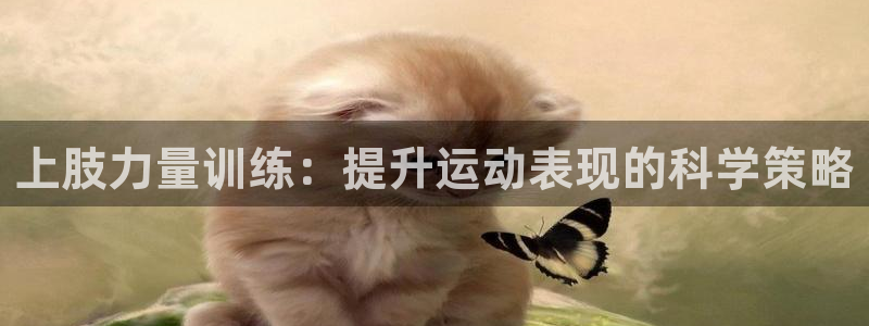 上肢力量训练：提升运动表现的科学策略