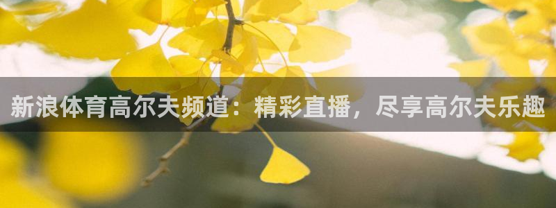 新浪体育高尔夫频道：精彩直播，尽享高尔夫乐趣