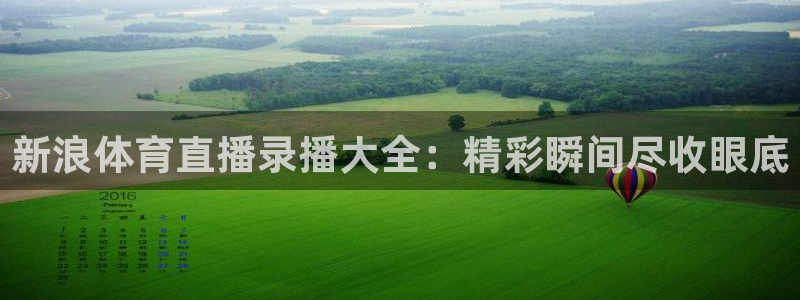 新浪体育直播录播大全：精彩瞬间尽收眼底