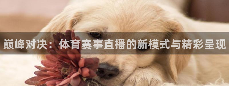巅峰对决：体育赛事直播的新模式与精彩呈现