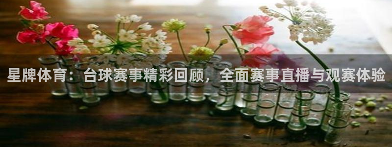 星牌体育：台球赛事精彩回顾，全面赛事直播与观赛体验