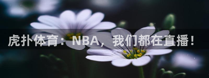 虎扑体育：NBA，我们都在直播！