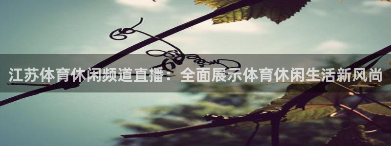 江苏体育休闲频道直播：全面展示体育休闲生活新风尚