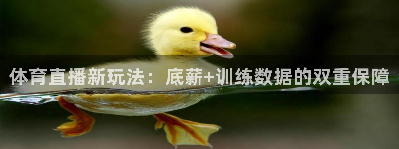 体育直播新玩法：底薪+训练数据的双重保障
