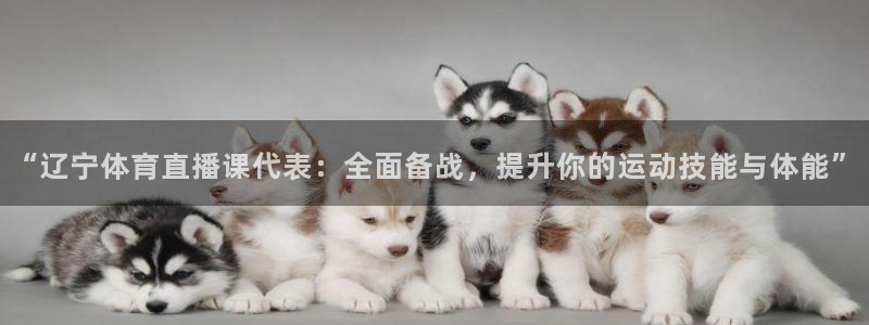 “辽宁体育直播课代表：全面备战，提升你的运动技能与体能”