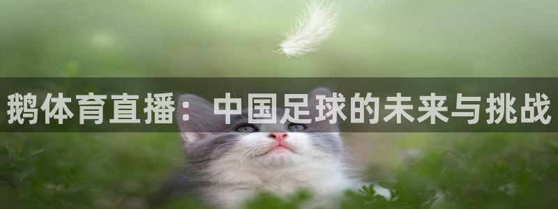 鹅体育直播：中国足球的未来与挑战