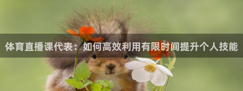 体育直播课代表：如何高效利用有限时间提升个人技能