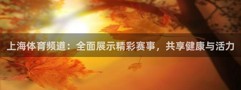 上海体育频道：全面展示精彩赛事，共享健康与活力