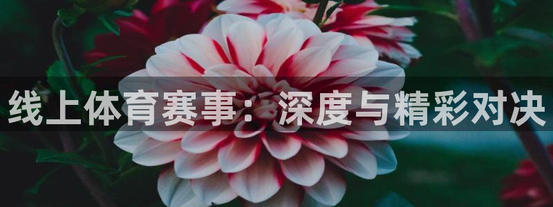线上体育赛事：深度与精彩对决