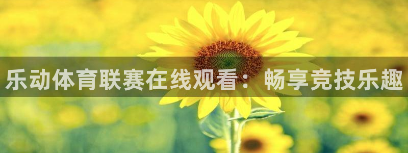 乐动体育联赛在线观看：畅享竞技乐趣