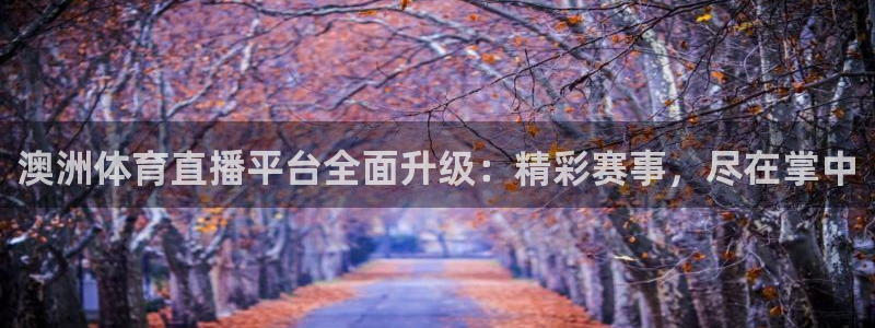 澳洲体育直播平台全面升级：精彩赛事，尽在掌中