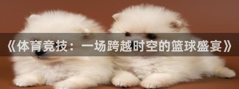 《体育竞技：一场跨越时空的篮球盛宴》