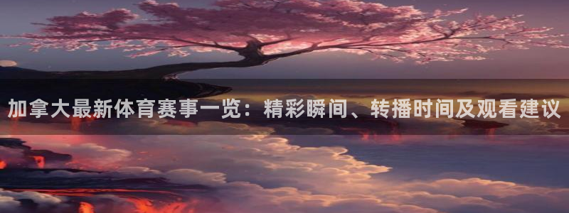 加拿大最新体育赛事一览：精彩瞬间、转播时间及观看建议