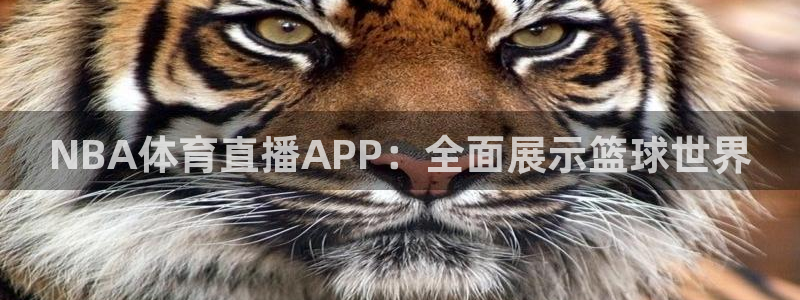 NBA体育直播APP：全面展示篮球世界